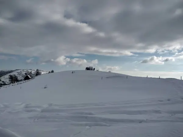  Trees and snow-laden mountains village of Parva, Romania, Transylvania. Winter landscape