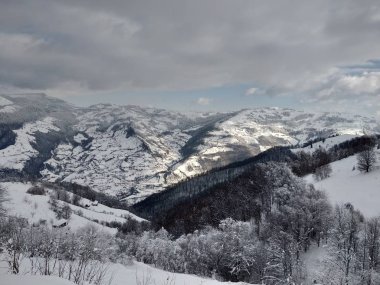 Romanya, Trasilvania, Parva köyünde karla kaplı ağaçlar ile Karpat dağlarında güzel kış manzara.