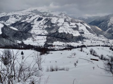  Romanya, Trasilvania, Parva köyünde karla kaplı ağaçlar ile Karpat dağlarında güzel kış manzara.