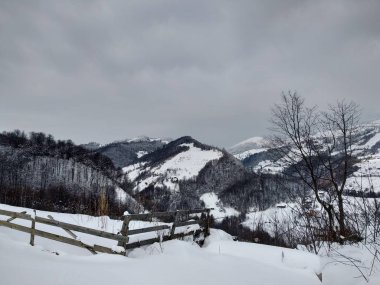  Romanya, Trasilvania, Parva köyünde karla kaplı ağaçlar ile Karpat dağlarında güzel kış manzara.