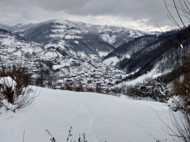 Transilvanya Romanya parva köyünde dağ evleri ve ağaçlar ile kış sezonunda. Kış manzaraları