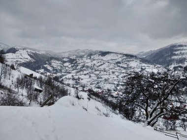 Transilvanya Romanya parva köyünde dağ evleri ve ağaçlar ile kış sezonunda. Kış manzaraları