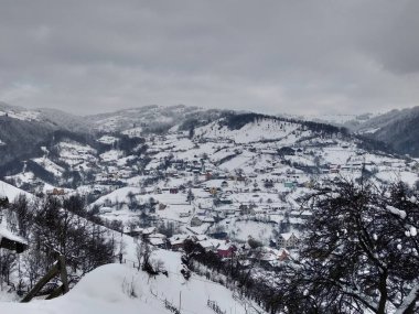 Transilvanya Romanya parva köyünde dağ evleri ve ağaçlar ile kış sezonunda. Kış manzaraları