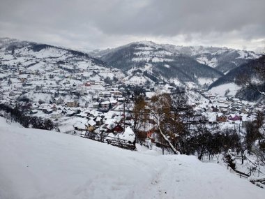 Transilvanya Romanya parva köyünde dağ evleri ve ağaçlar ile kış sezonunda. Kış manzaraları