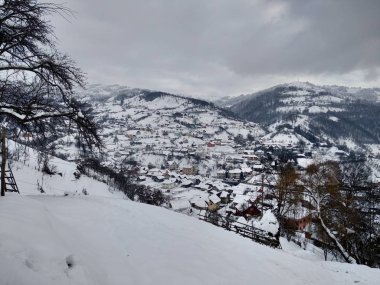 Transilvanya Romanya parva köyünde dağ evleri ve ağaçlar ile kış sezonunda. Kış manzaraları