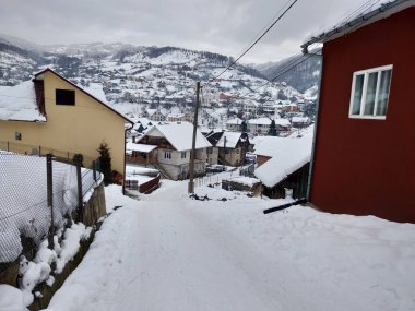 Transilvanya Romanya parva köyünde dağ evleri ve ağaçlar ile kış sezonunda. Kış manzaraları