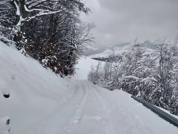 Romanya Transilvanya'da karla kaplı dağlar ve ağaçlarda güzel kış manzarası Kış yolu