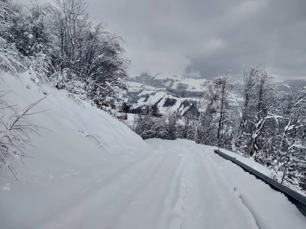 Romanya Transilvanya'da karla kaplı dağlar ve ağaçlarda güzel kış manzarası Kış yolu