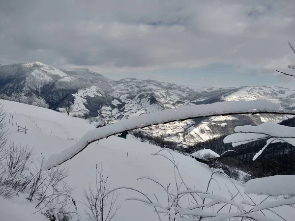 美丽的冬季景观在喀尔巴鄂山脉与树枝树木覆盖在罗马尼亚 特拉西瓦尼亚 帕尔瓦村 — 图库照片