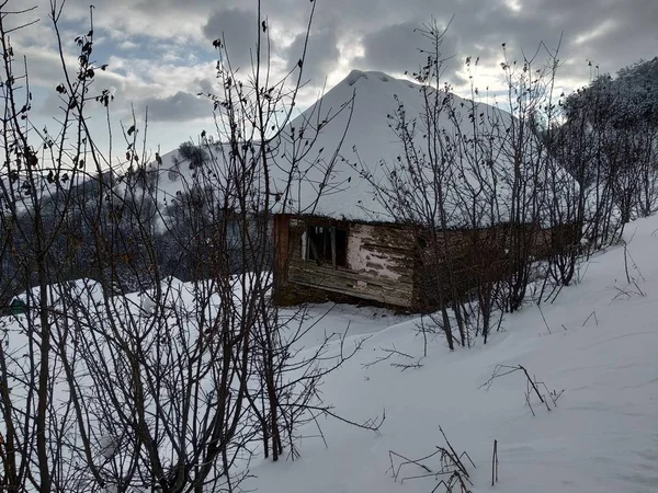 Nice winter landscape. Cabin in the Carpathian mountains covered with snow in Romania, Trasilvania, village of Parva.