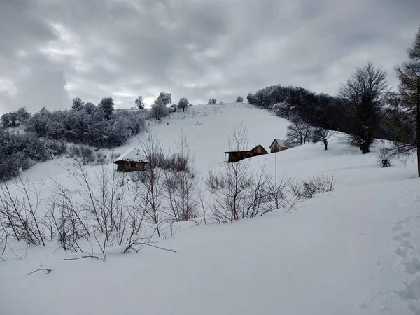 Nice winter landscape. Cabin in the Carpathian mountains covered with snow in Romania, Trasilvania, village of Parva.