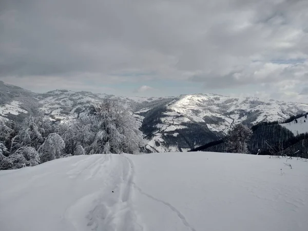 Bela Paisagem Inverno Estrada Inverno Nas Montanhas Árvores Cobertas Neve — Fotografia de Stock