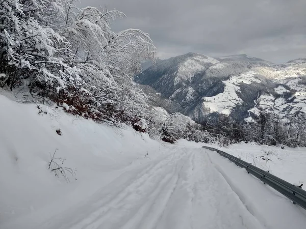 Bela Paisagem Inverno Estrada Inverno Nas Montanhas Árvores Cobertas Neve — Fotografia de Stock