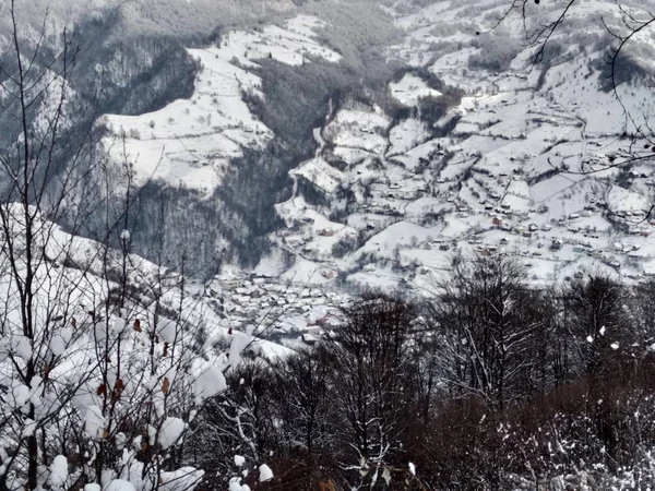 ルーマニア トラシルバニア パルヴァの村で雪に覆われた木とカルパチア山脈の美しい冬の風景 — ストック写真