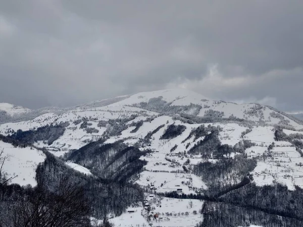 Красивий Зимовий Пейзаж Карпатах Деревами Вкритими Снігом Румунії Трасильванії Парва — стокове фото