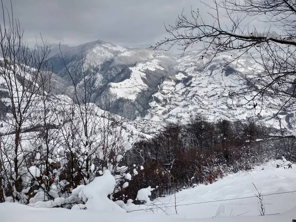 Bellissimo Paesaggio Invernale Nelle Montagne Dei Carpazi Con Alberi Coperti Foto Stock Royalty Free