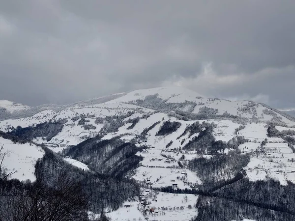 Beautiful Winter Landscape Carpathian Mountains Trees Covered Snow Romania Trasilvania Royalty Free Stock Images