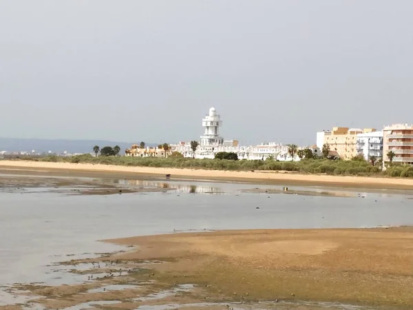 Gaviota Spiaggia Isla Cristina Gola Palude — Foto Stock