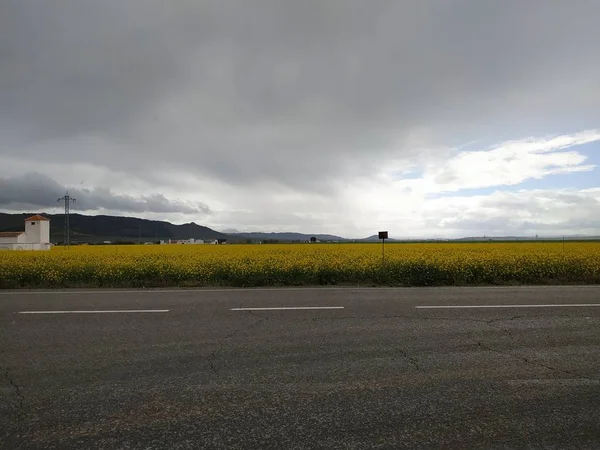 Campos Colza Antequera Provincia Málaga Andalucía España — Foto de Stock