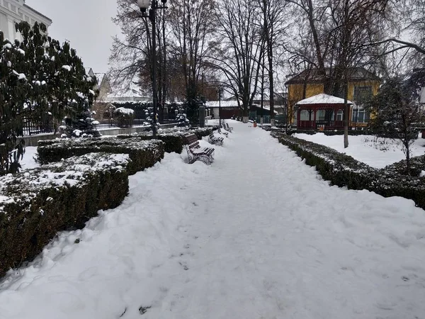 Parco Nella Stagione Invernale Romania Transilvania Città Nasaud — Foto Stock