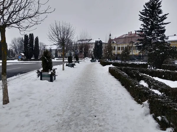 Parco Nella Stagione Invernale Romania Transilvania Città Nasaud — Foto Stock