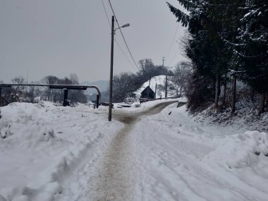 Dağlar ve ağaçlarla kaplı kış manzarası, Romanya Transilvanya 'nın kırsal karlarına ev sahipliği yapan köy.