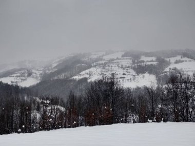 Dağlar ve ağaçlarla kaplı kış manzarası, Romanya Transilvanya 'nın kırsal karlarına ev sahipliği yapan köy.