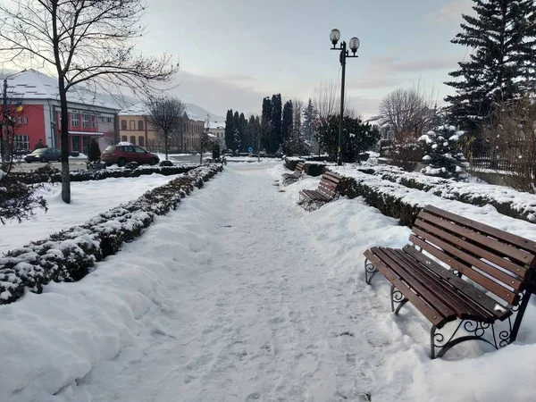 Парк Зимний Сезон Румынии Трансильвания Город Насо — стоковое фото