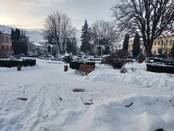 Park Winter Season Romania Transylvania City Nasaud — Stock Photo, Image