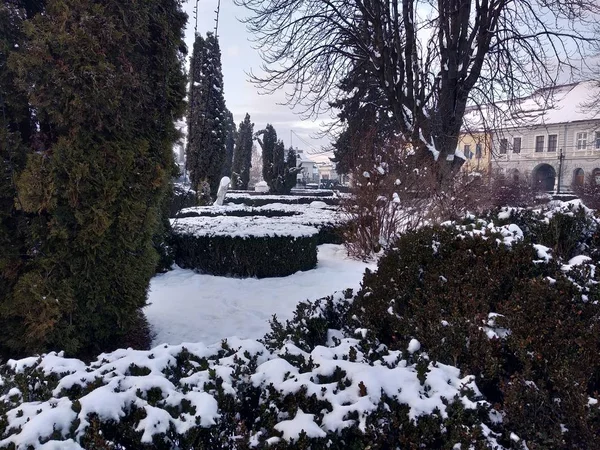 Parco Nella Stagione Invernale Romania Transilvania Città Nasaud — Foto Stock