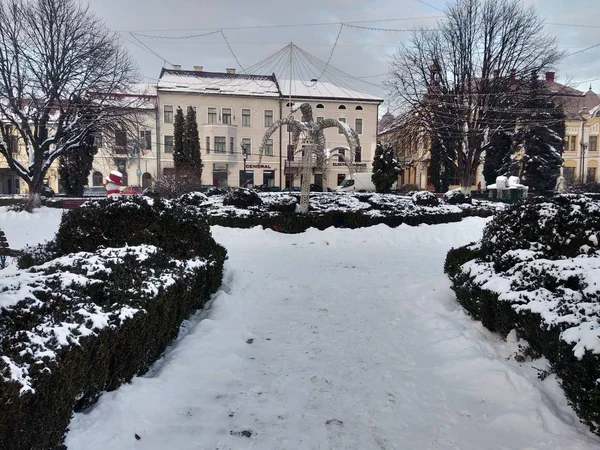 Parco Nella Stagione Invernale Romania Transilvania Città Nasaud — Foto Stock