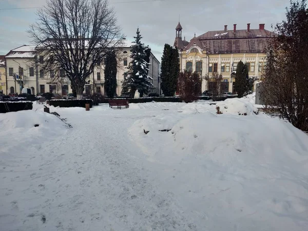 Парк Зимний Сезон Румынии Трансильвания Город Насо — стоковое фото