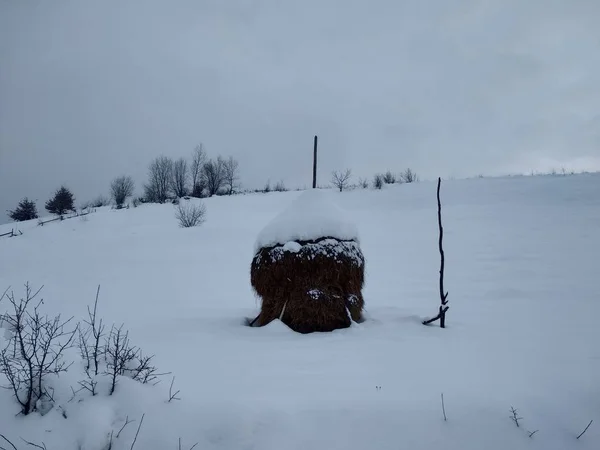 Romoli köyünde Haystack, Romanya Transilvanya, kış sezonu