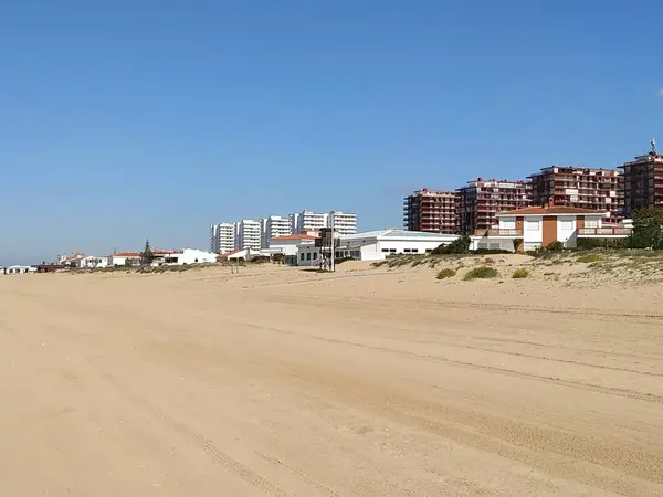 Nice Beach Punta Umbra Provins Huelva Spanien — Stockfoto