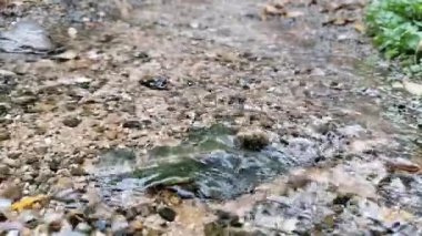    Makro temiz su akışını kapat