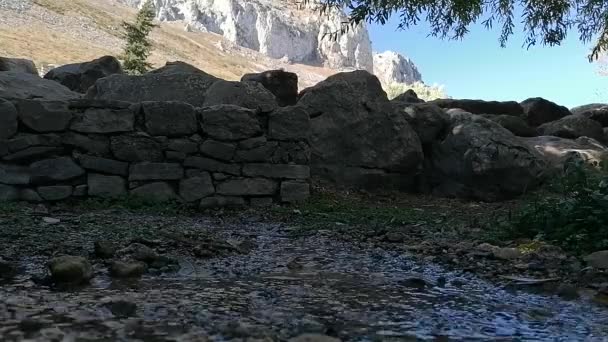 Macro Primer Plano Corriente Agua Limpia — Vídeo de stock