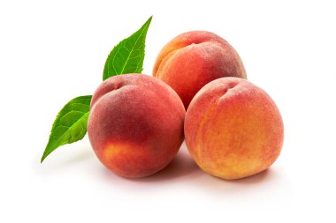 Beyaz zemin üzerinde yaprak izole şeftali