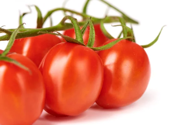 Dojrzałe Świeże Pomidory Wiśniowe Gałęzi Izolowane Białym Tle — Zdjęcie stockowe