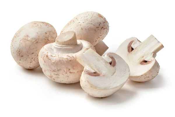 Şampiyonlar, yakın plan, beyaz arkaplanda izole.