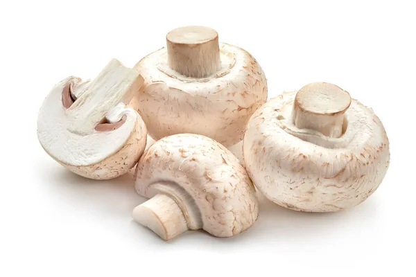 Şampiyonlar, yakın plan, beyaz arkaplanda izole.