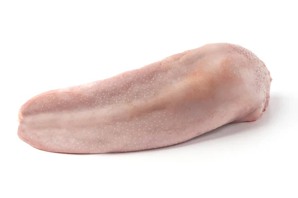Raw Pork Tongue Isolated White Background — Stock Photo, Image