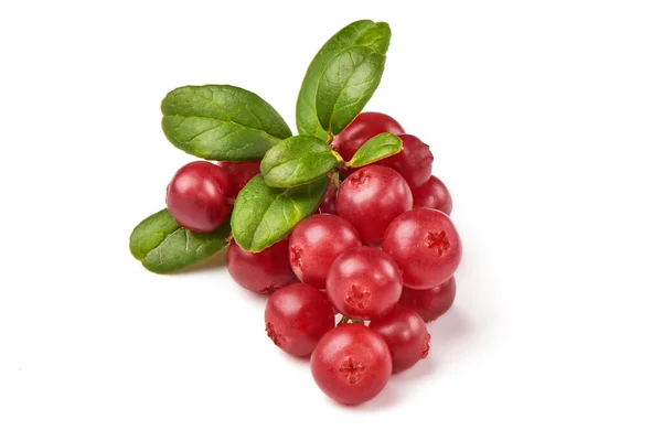 Cranberry Dengan Daun Close Terisolasi Pada Latar Belakang Putih — Stok Foto