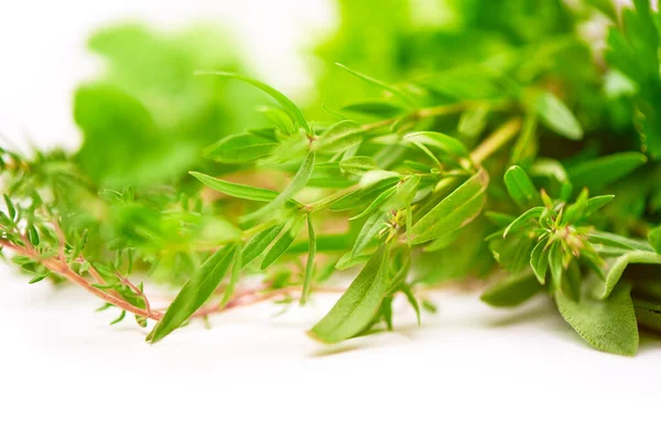 Rosmarino Foglia Lattuga Erbe Fondo Sfocato — Foto Stock