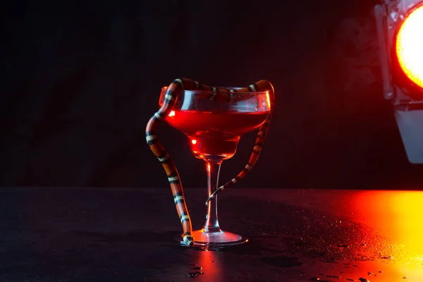 in the dark room against the background of a red bright lamp a glass with red liquid and a snake who twists it with herself