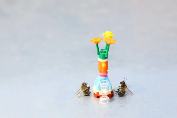 Abeilles Regarder Une Fleur Constructeur Avec Verre Vide Jour Été — Photo