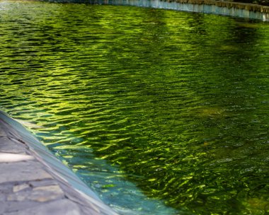 Işıldayan yeşil suyu olan bir havuzun büyüleyici, düşük açılı görüntüsü. Güneş ışığı, yüzeyin sakin ve soyut güzelliğini vurgulayarak dalgalanmaların ve yansımaların dinamik bir örüntüsünü yaratır..