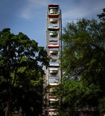 Kentsel bozulmayı ve doğanın gücünü araştıran iki dikey fotoğraftan oluşan eşsiz bir set. Biri terk edilmiş bir parkta gizemli bir dönme dolap, diğeri ise aşırı büyümüş sarmaşıkların eski ağaçları geri aldığı bir orman..