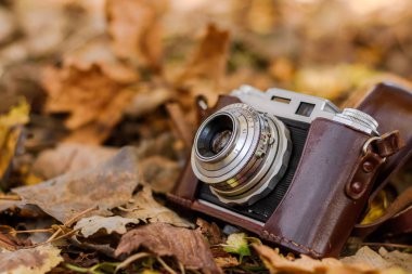 Sonbahar parkında düşen kuru yapraklar üzerinde klasik fotoğraf makinesi.. 