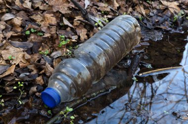 Boş bir plastik şişe doğada suya atılmış. Çevre kirliliği.