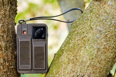 Ağaç üzerinde eski taşınabilir radyo